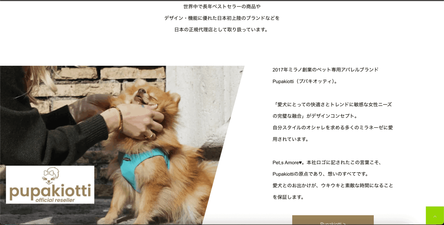 支援実績イメージ 2