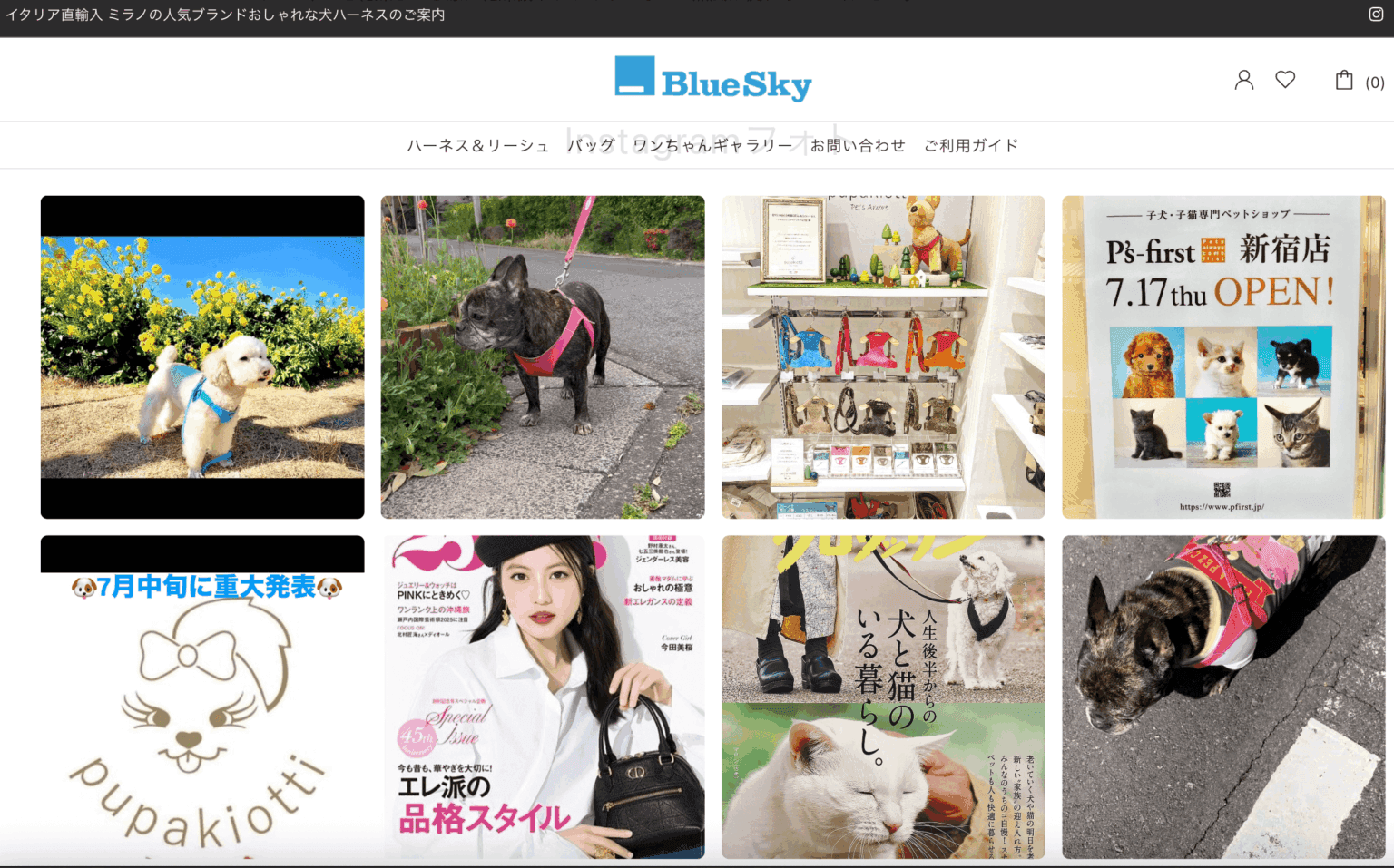 支援実績イメージ 3